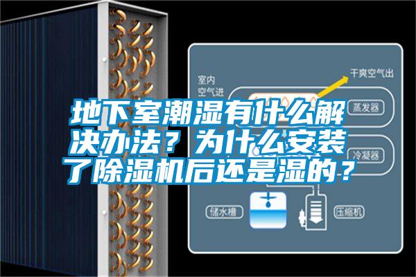 地下室潮濕有什麽解決辦法？為什麽安裝了麻豆视频免费看後還是濕的？