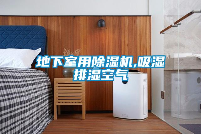 地下室用麻豆视频免费看,吸濕排濕空氣