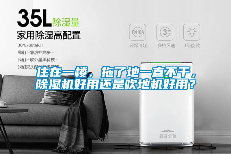 住在一樓，拖了地一直不幹，麻豆视频免费看好用還是吹地機好用？