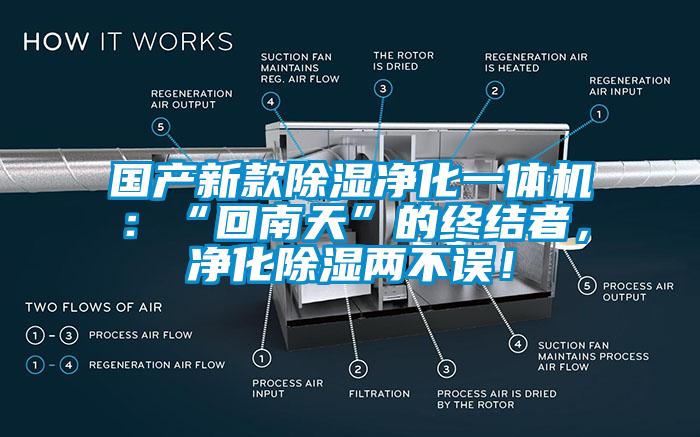 國產新款除濕淨化一體機：“回南天”的終結者，淨化除濕兩不誤！