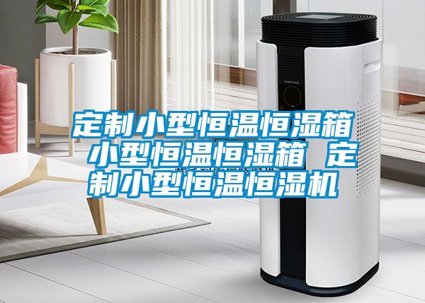 定製小型恒溫恒濕箱 小型恒溫恒濕箱 定製小型恒溫恒濕機