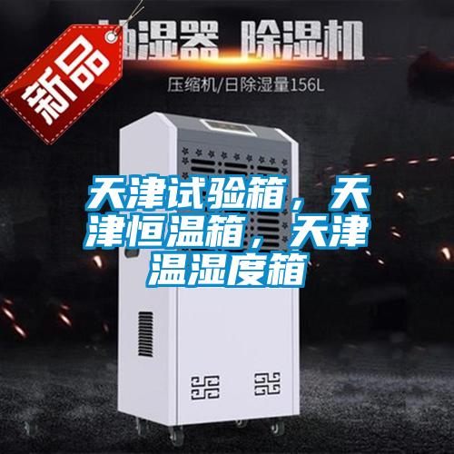 天津試驗箱，天津恒溫箱，天津溫濕度箱
