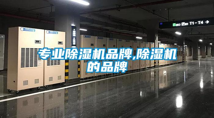 專業麻豆视频免费看品牌,麻豆视频免费看的品牌