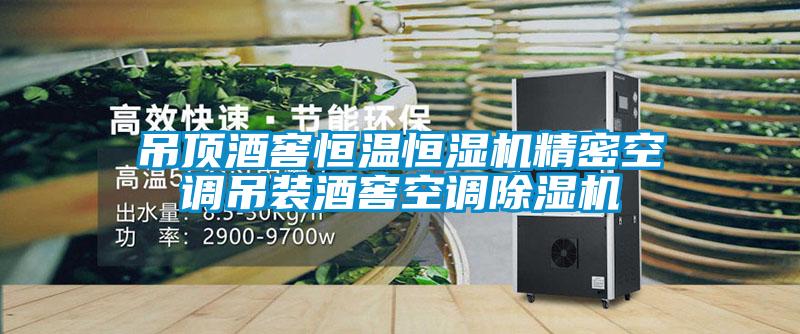 吊頂酒窖恒溫恒濕機精密空調吊裝酒窖空調麻豆视频免费看