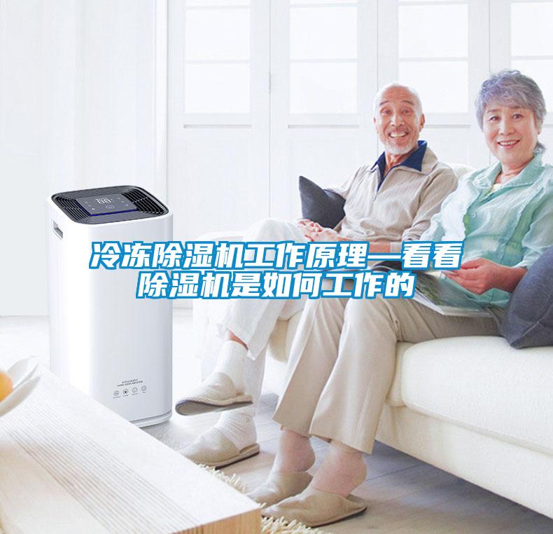 冷凍麻豆视频免费看工作原理—看看麻豆视频免费看是如何工作的