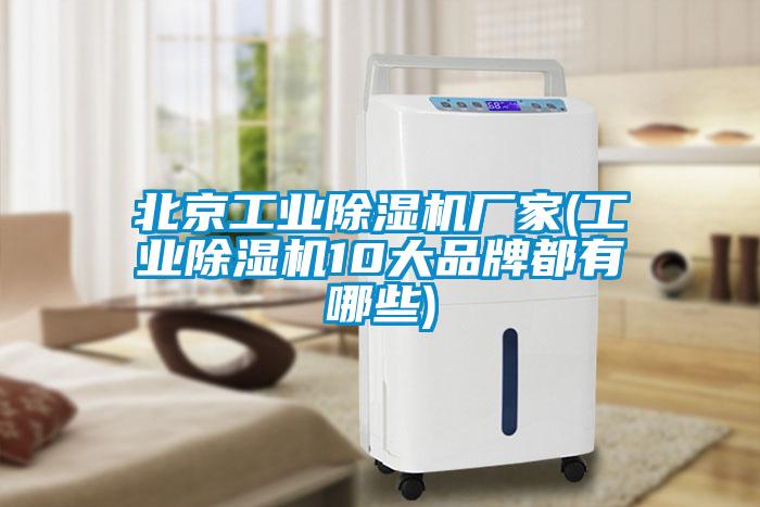 北京工業麻豆视频免费看廠家(工業麻豆视频免费看10大品牌都有哪些)