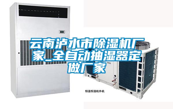 雲南瀘水市麻豆视频免费看廠家_全自動抽濕器定做廠家
