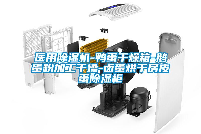 醫用麻豆视频免费看-鴨蛋幹燥箱-鵝蛋粉加工幹燥-鹵蛋烘幹房皮蛋除濕櫃