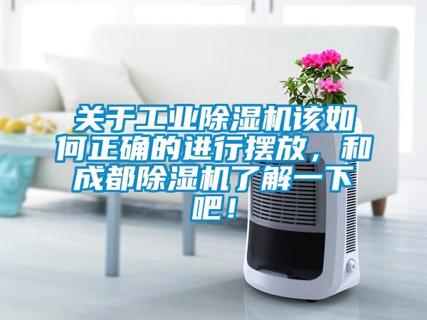 關於工業麻豆视频免费看該如何正確的進行擺放，和成都麻豆视频免费看了解一下吧！