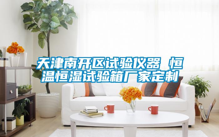 天津南開區試驗儀器 恒溫恒濕試驗箱廠家定製
