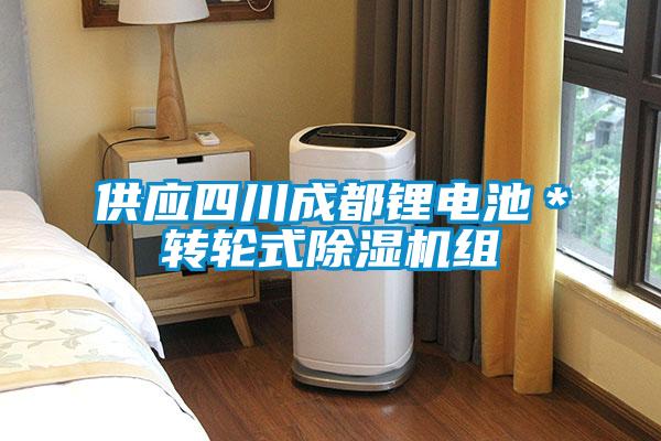供應四川成都鋰電池＊轉輪式麻豆视频免费看組