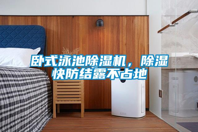 臥式泳池麻豆视频免费看，除濕快防結露不占地
