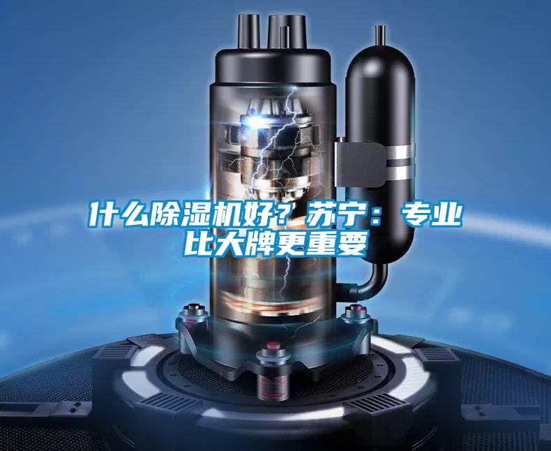 什麽麻豆视频免费看好？蘇寧：專業比大牌更重要