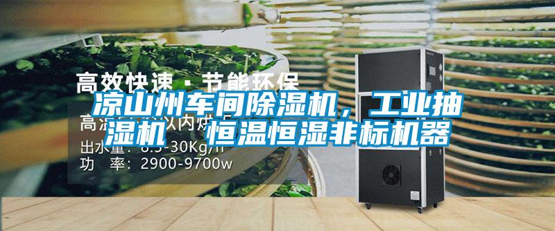 涼山州車間麻豆视频免费看，工業抽濕機  恒溫恒濕非標機器