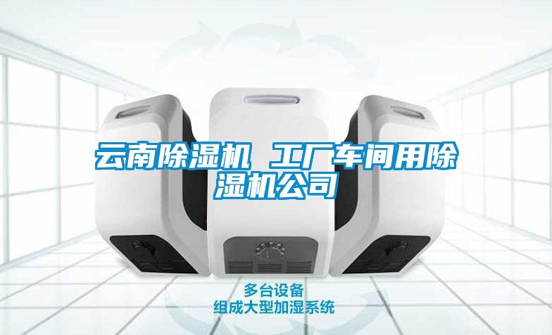 雲南麻豆视频免费看 工廠車間用麻豆视频免费看公司