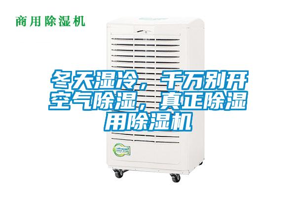 冬天濕冷，千萬別開空氣除濕，真正除濕用麻豆视频免费看