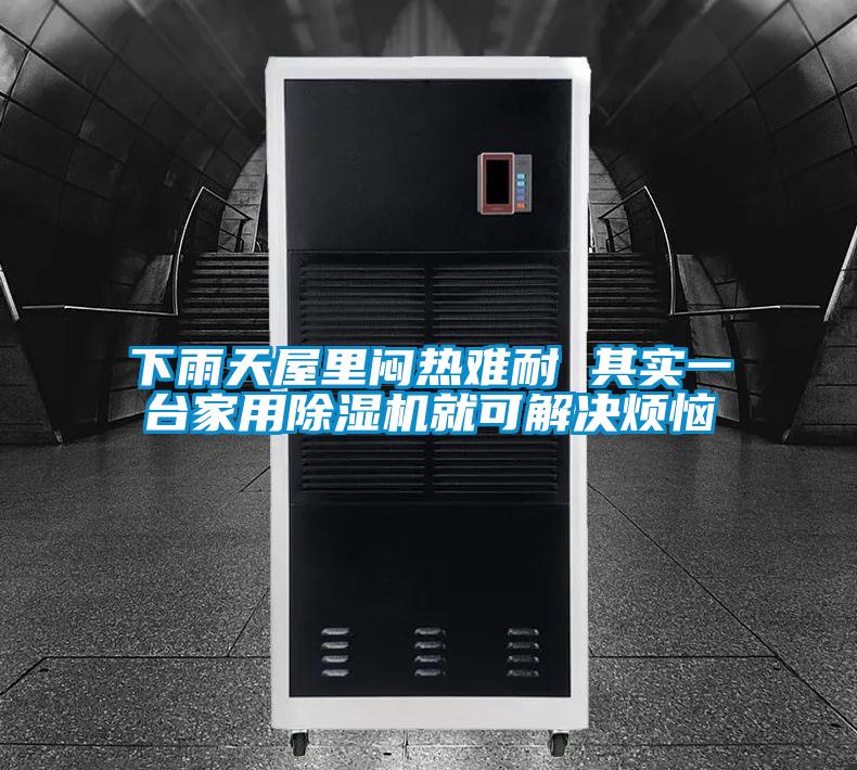 下雨天屋裏悶熱難耐 其實一台家用麻豆视频免费看就可解決煩惱