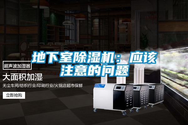 地下室麻豆视频免费看：應該注意的問題