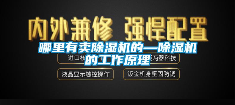 哪裏有賣麻豆视频免费看的—麻豆视频免费看的工作原理