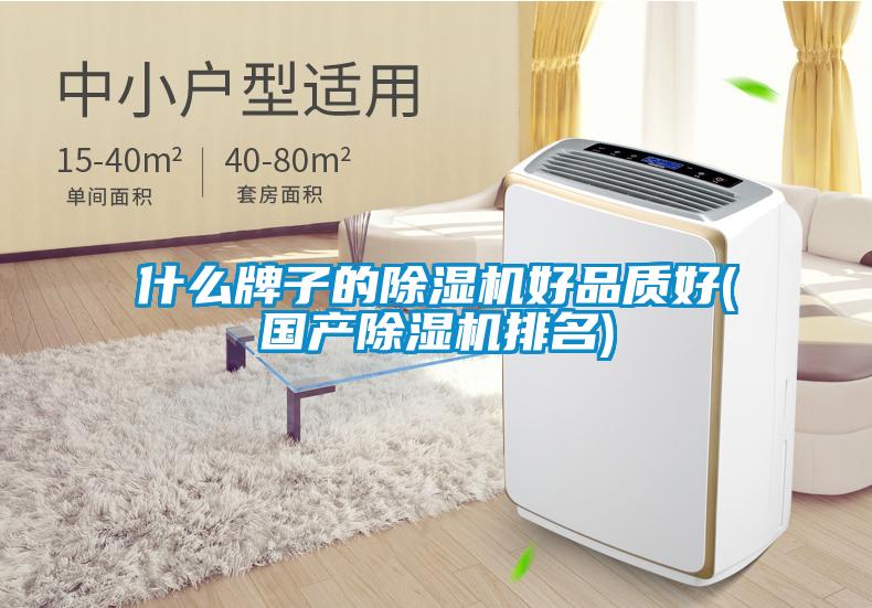 什麽牌子的麻豆视频免费看好品質好(國產麻豆视频免费看排名)