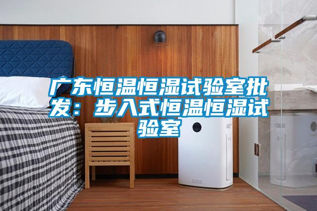 廣東恒溫恒濕試驗室批發：步入式恒溫恒濕試驗室