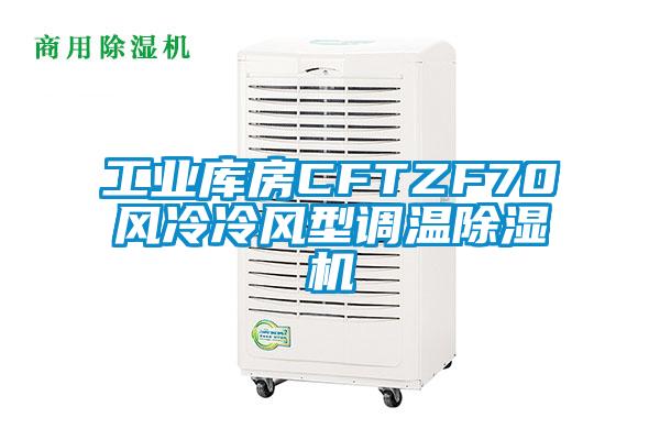 工業庫房CFTZF70風冷冷風型調溫麻豆视频免费看