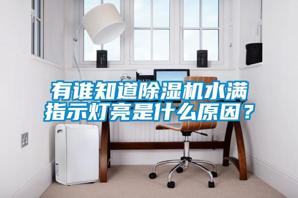 有誰知道麻豆视频免费看水滿指示燈亮是什麽原因？