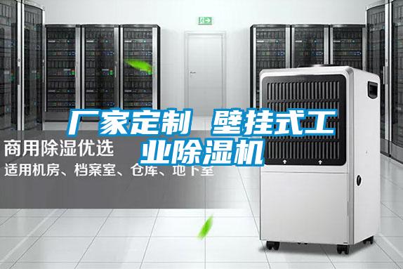 廠家定製 壁掛式工業麻豆视频免费看