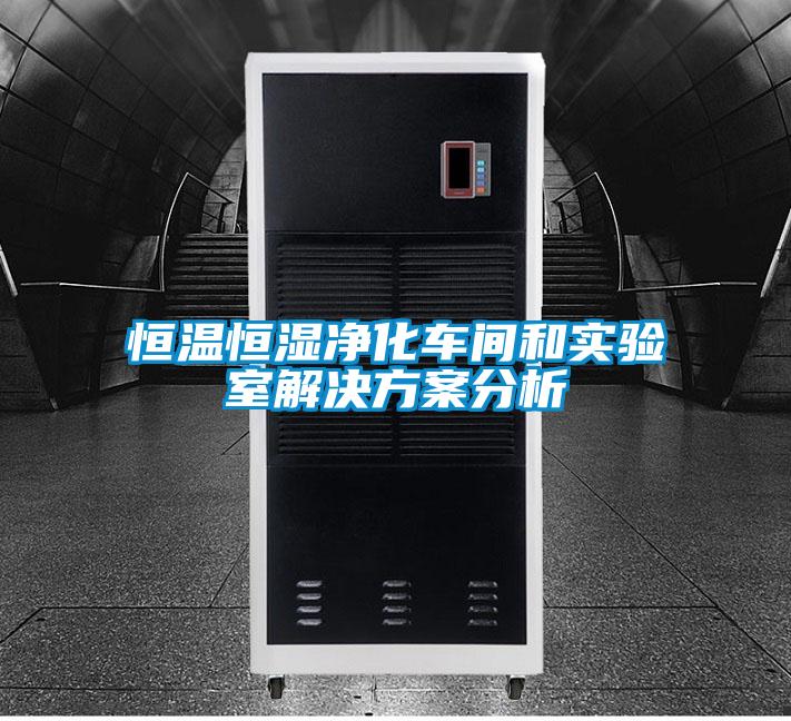 恒溫恒濕淨化車間和實驗室激情麻豆视频分析