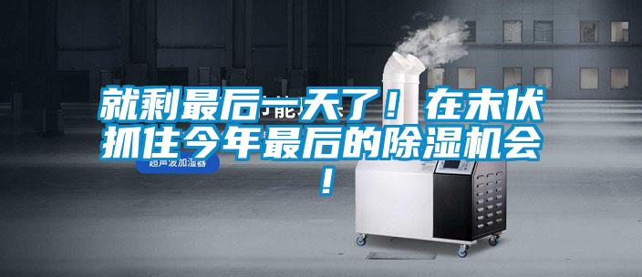 就剩最後一天了！在末伏抓住今年最後的麻豆视频免费看會！
