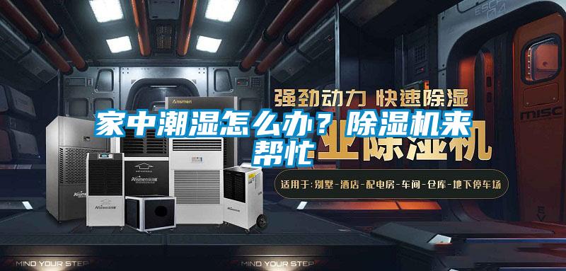 家中潮濕怎麽辦？麻豆视频免费看來幫忙