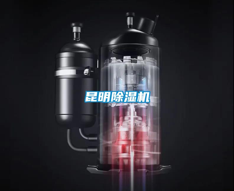 昆明麻豆视频免费看