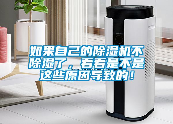 如果自己的麻豆视频免费看不除濕了，看看是不是這些原因導致的！