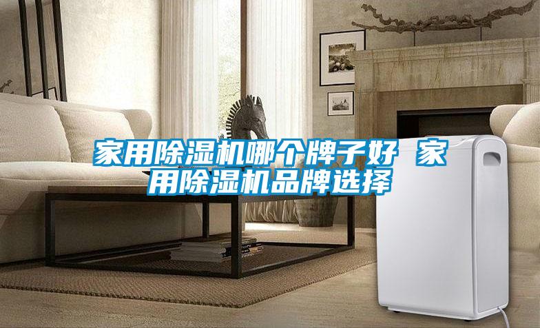 家用麻豆视频免费看哪個牌子好 家用麻豆视频免费看品牌選擇