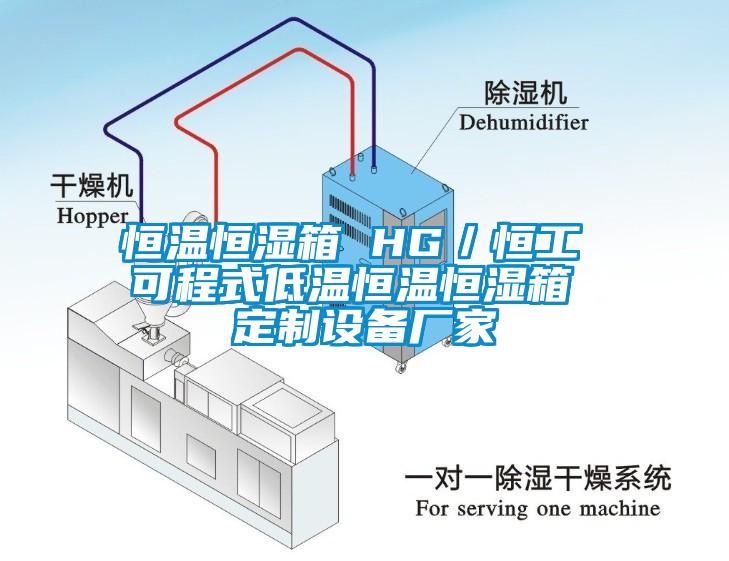 恒溫恒濕箱 HG／恒工 可程式低溫恒溫恒濕箱 定製設備廠家