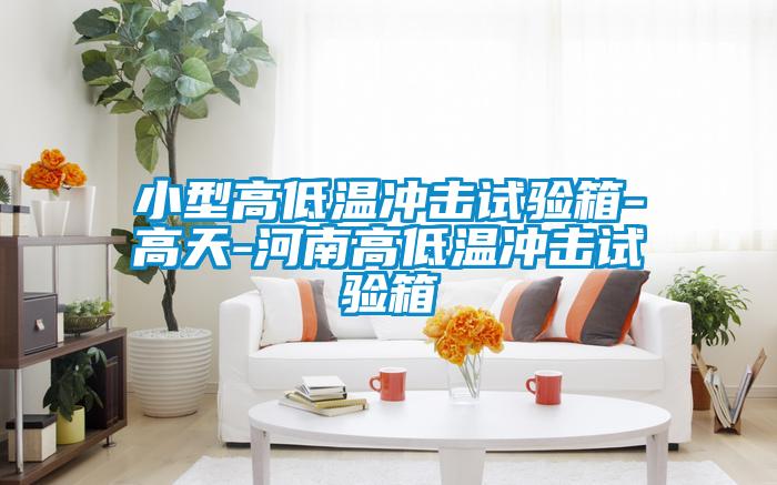 小型高低溫衝擊試驗箱-高天-河南高低溫衝擊試驗箱