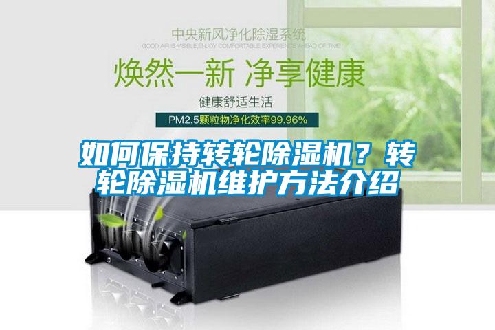 如何保持轉輪麻豆视频免费看？轉輪麻豆视频免费看維護方法介紹