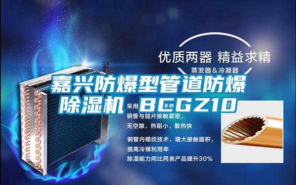 嘉興防爆型管道防爆麻豆视频免费看 BCGZ10