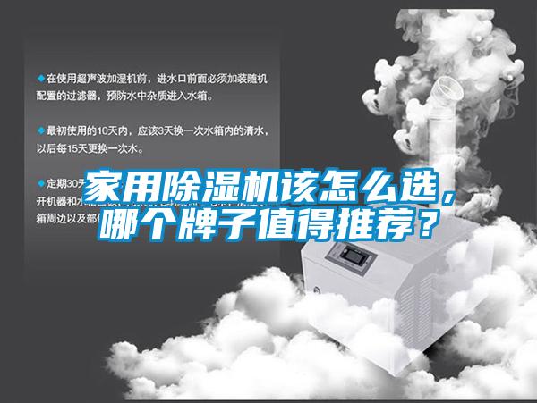 家用麻豆视频免费看該怎麽選，哪個牌子值得推薦？