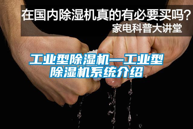 工業型麻豆视频免费看—工業型麻豆视频免费看係統介紹