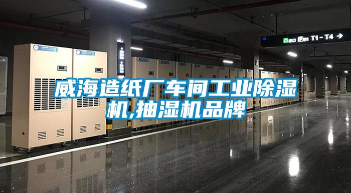 威海造紙廠車間工業麻豆视频免费看,抽濕機品牌