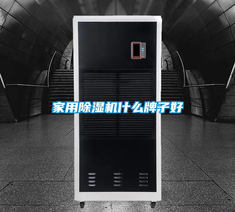 家用麻豆视频免费看什麽牌子好
