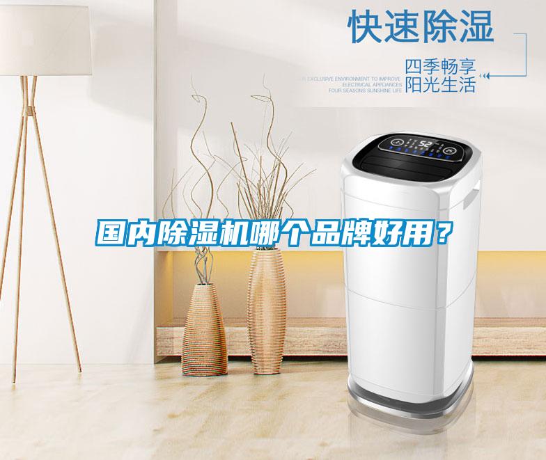國內麻豆视频免费看哪個品牌好用？