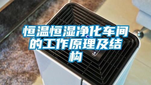 恒溫恒濕淨化車間的工作原理及結構