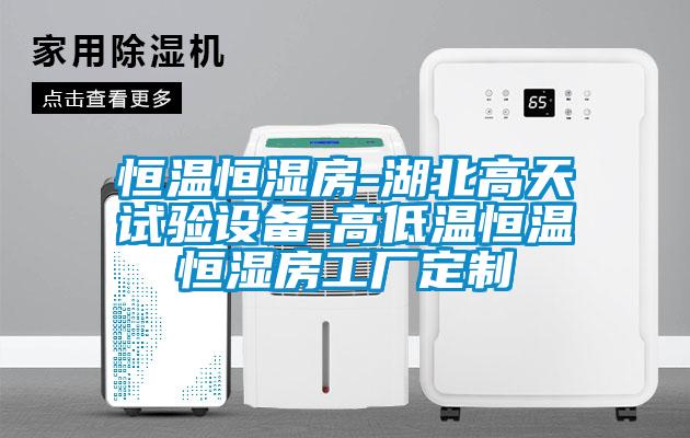 恒溫恒濕房-湖北高天試驗設備-高低溫恒溫恒濕房工廠定製