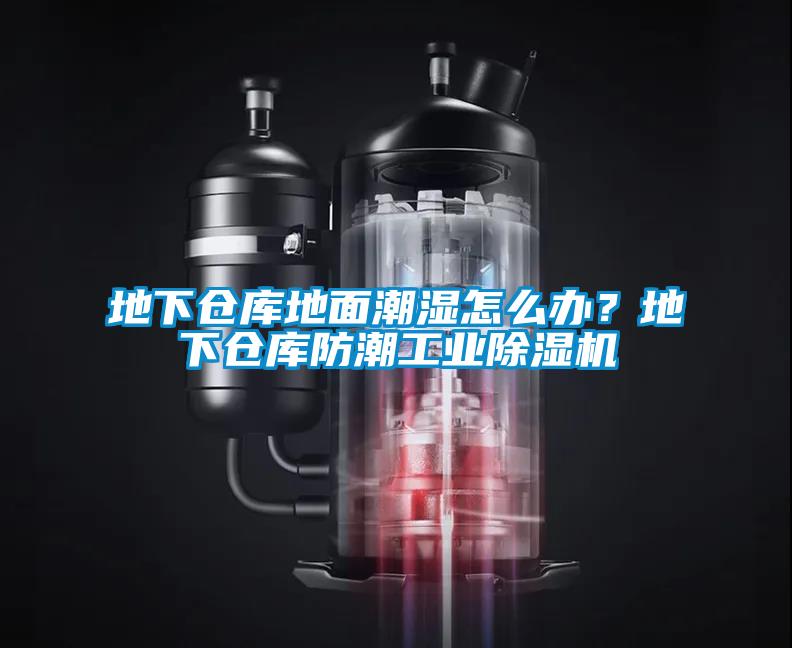 地下倉庫地麵潮濕怎麽辦？地下倉庫防潮工業麻豆视频免费看