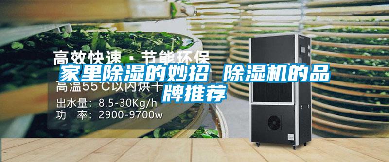 家裏除濕的妙招 麻豆视频免费看的品牌推薦