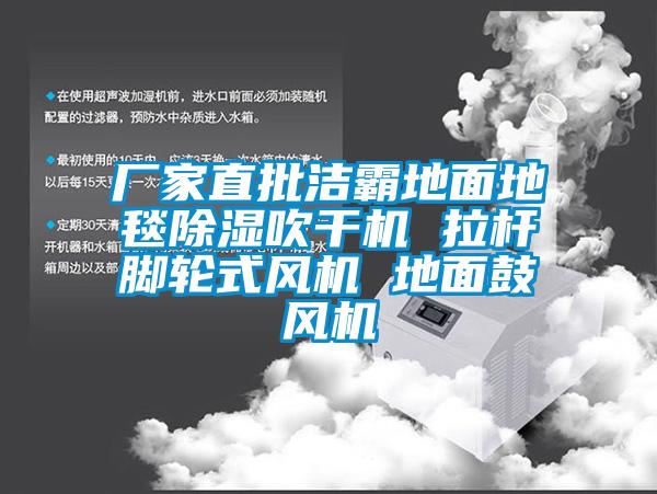 廠家直批潔霸地麵地毯除濕吹幹機 拉杆腳輪式風機 地麵鼓風機