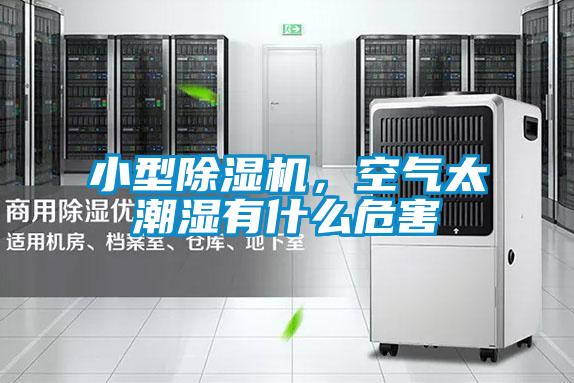 小型麻豆视频免费看，空氣太潮濕有什麽危害