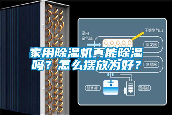 家用麻豆视频免费看真能除濕嗎？怎麽擺放為好？